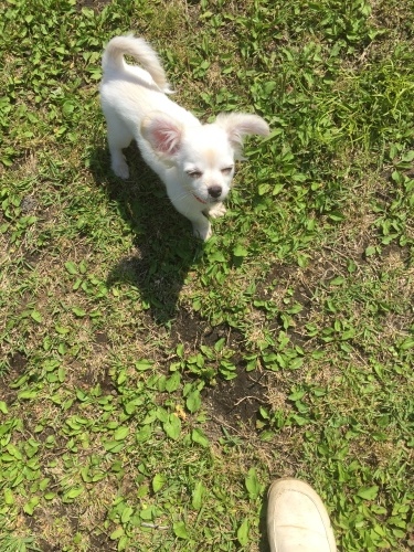 b0369239_10470576.jpeg