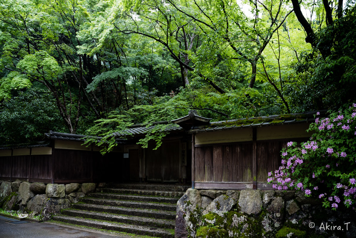京都の新緑 2016 〜瑠璃光院 1 〜_f0152550_18553319.jpg