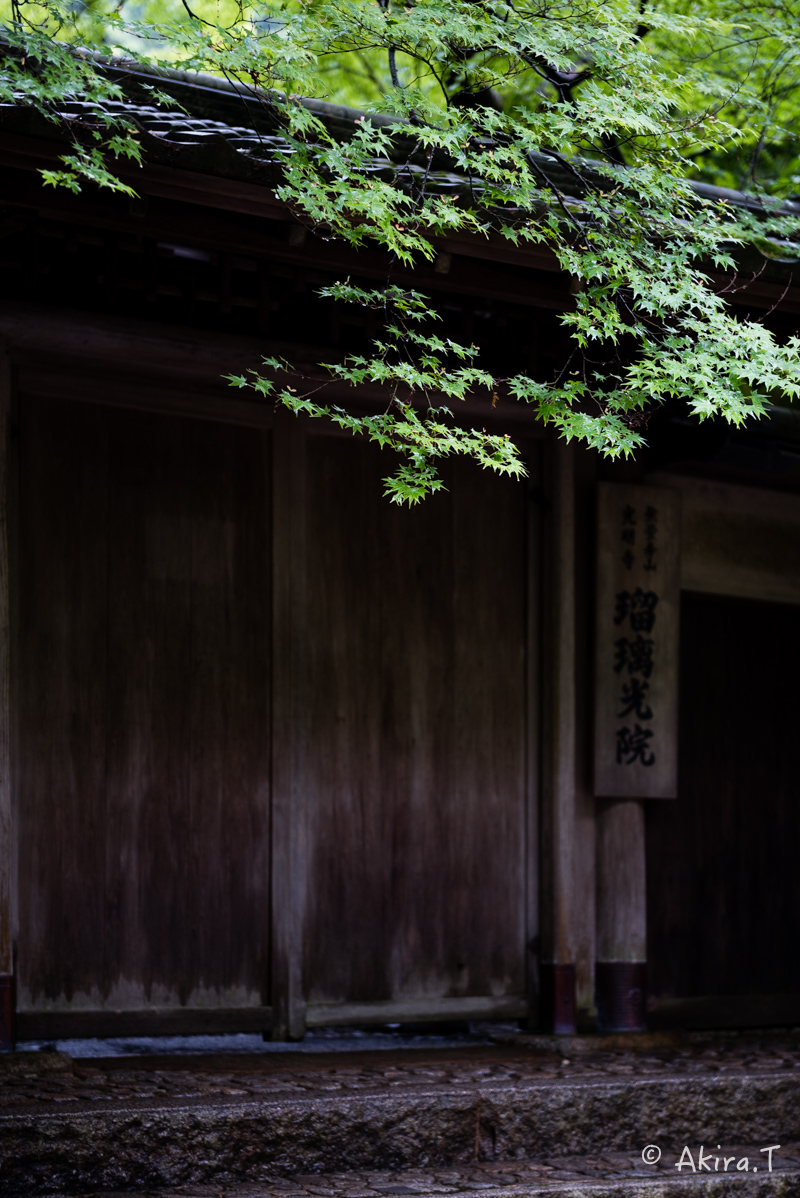 京都の新緑 2016 〜瑠璃光院 1 〜_f0152550_18554548.jpg