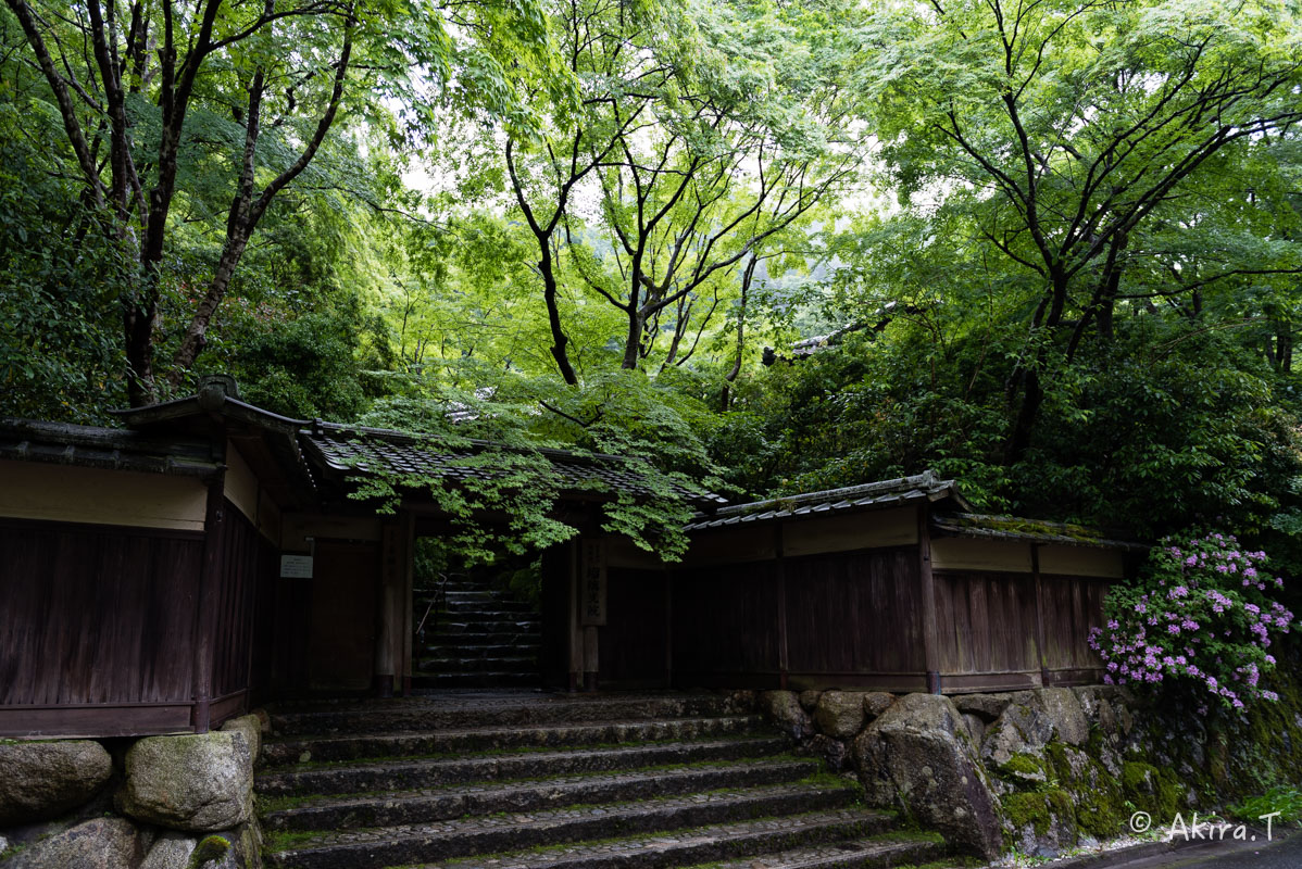京都の新緑 2016 〜瑠璃光院 1 〜_f0152550_18555714.jpg