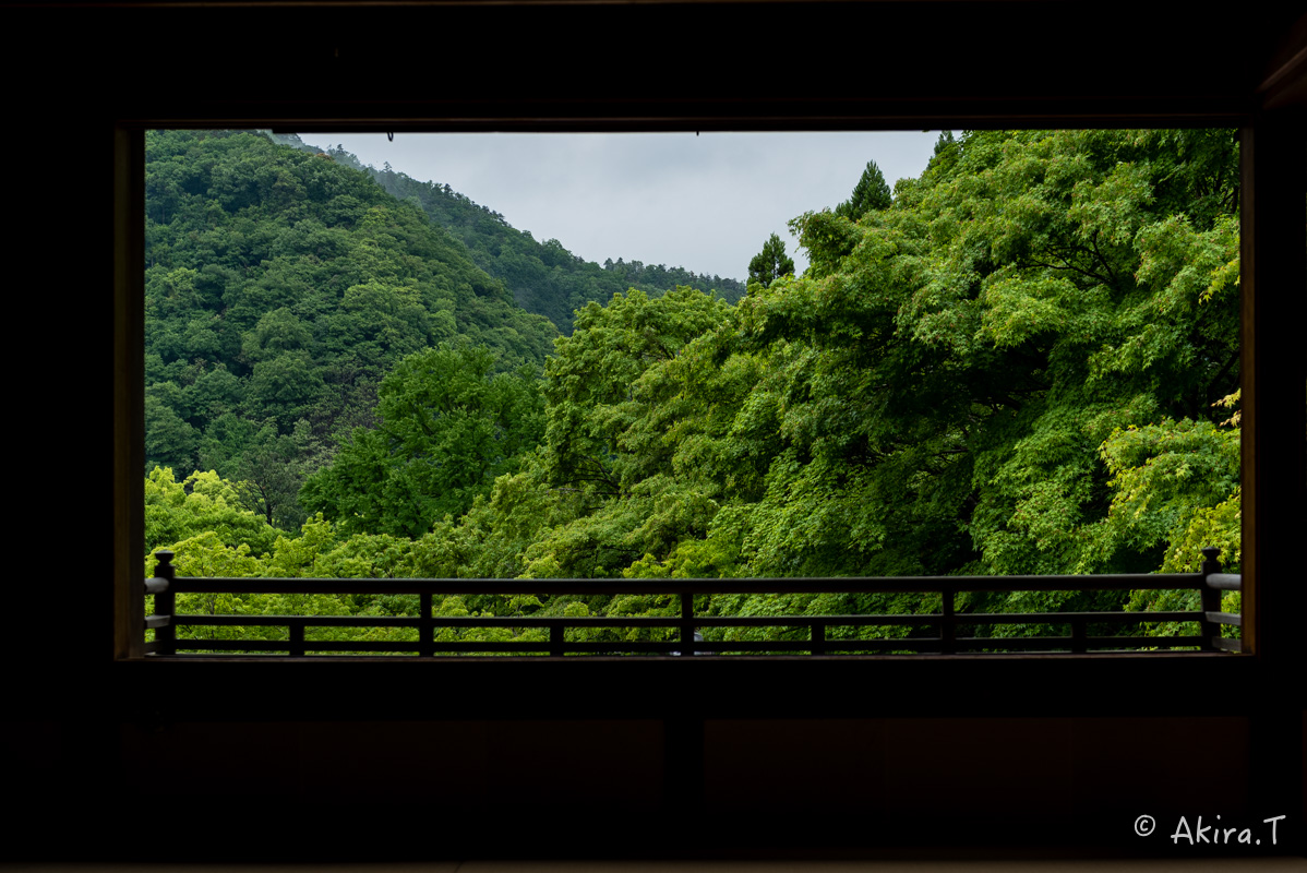 京都の新緑 2016 〜瑠璃光院 1 〜_f0152550_18563073.jpg