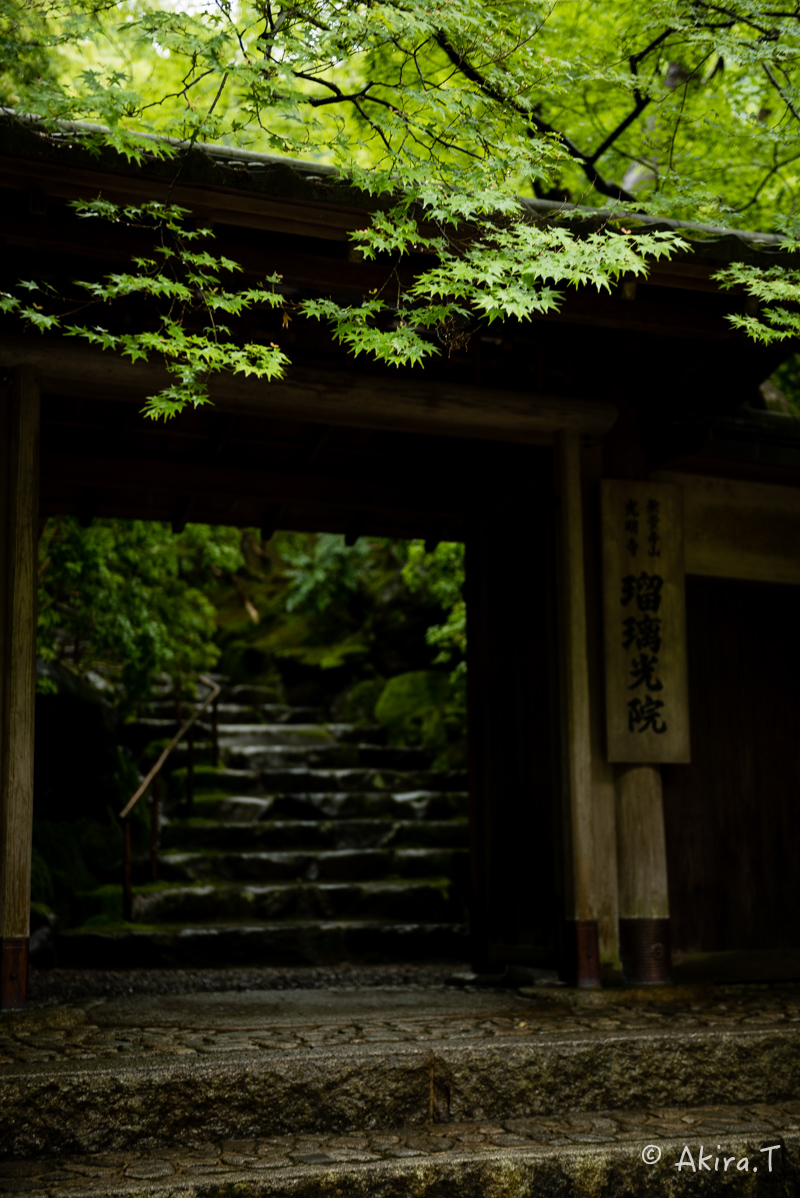 京都の新緑 2016 〜瑠璃光院 1 〜_f0152550_1856853.jpg