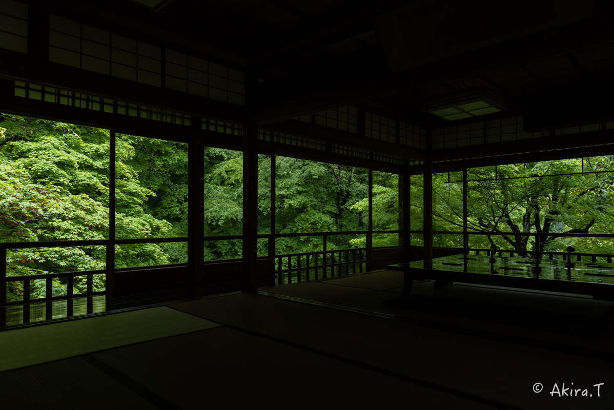 京都の新緑 2016 〜瑠璃光院 1 〜_f0152550_1857062.jpg
