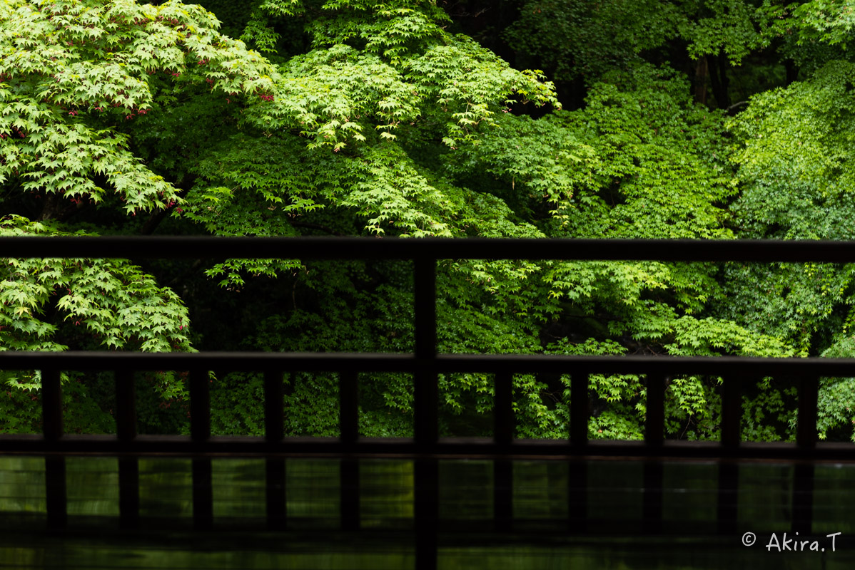 京都の新緑 2016 〜瑠璃光院 1 〜_f0152550_18571491.jpg