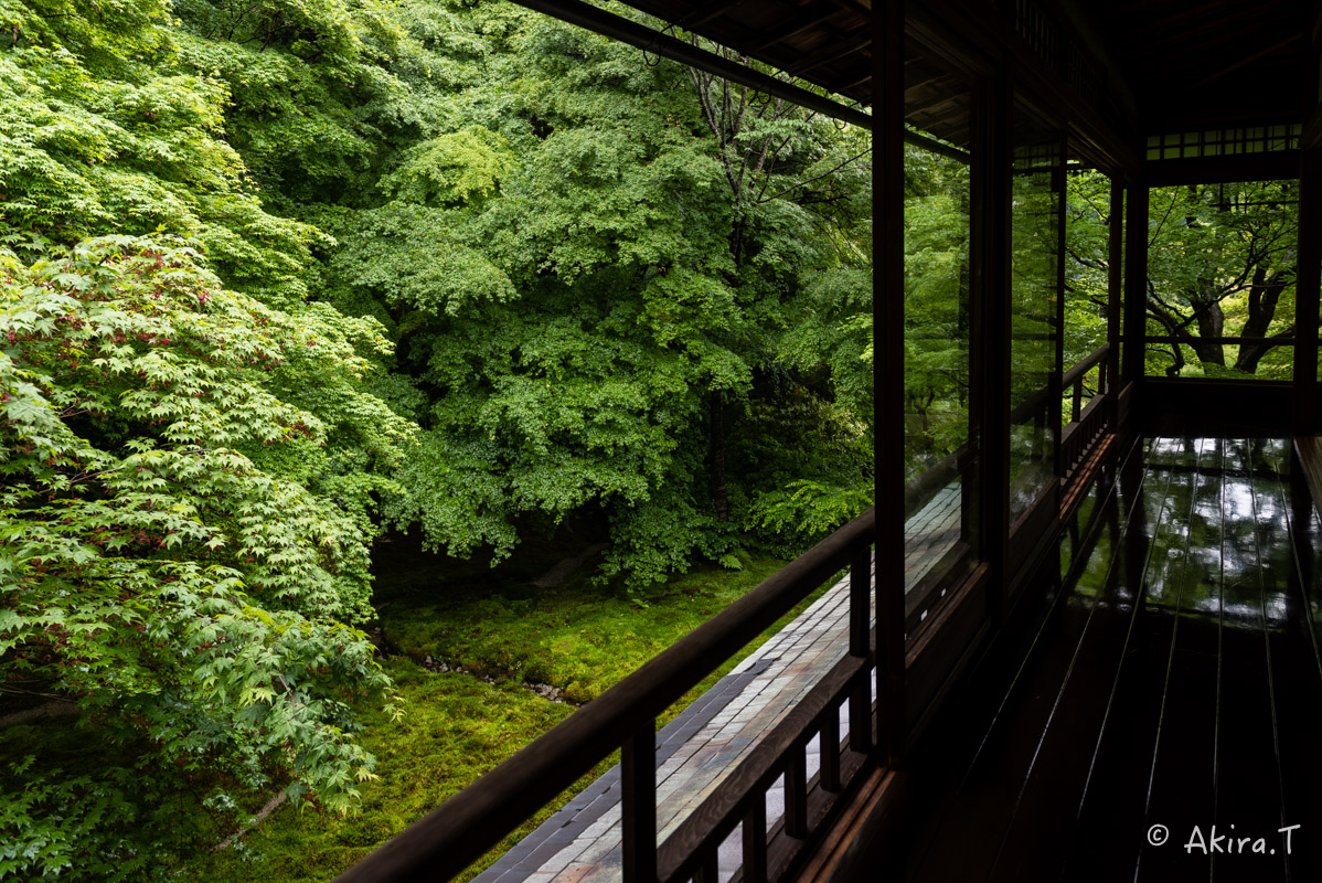 京都の新緑 2016 〜瑠璃光院 1 〜_f0152550_18574664.jpg