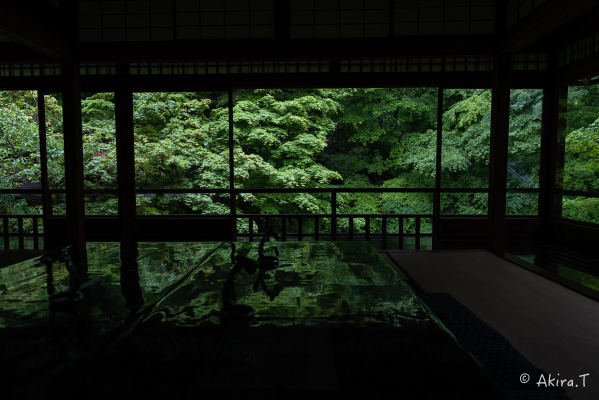 京都の新緑 2016 〜瑠璃光院 1 〜_f0152550_18584340.jpg