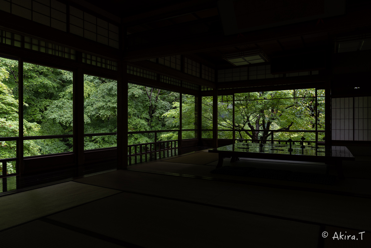 京都の新緑 2016 〜瑠璃光院 1 〜_f0152550_1858461.jpg