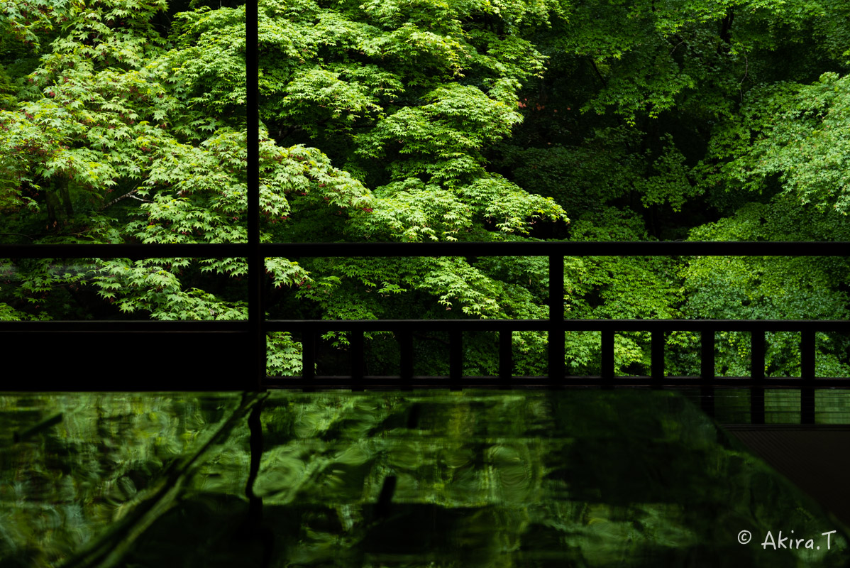 京都の新緑 2016 〜瑠璃光院 1 〜_f0152550_18585884.jpg