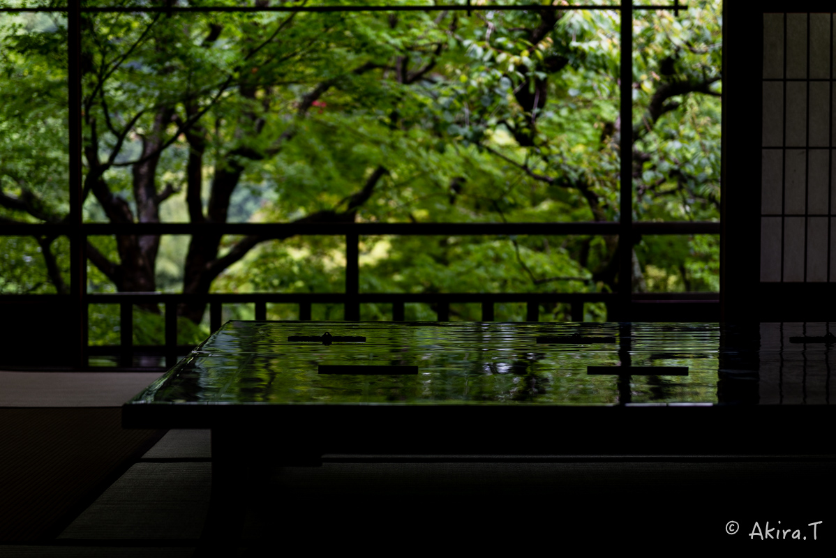 京都の新緑 2016 〜瑠璃光院 1 〜_f0152550_18591392.jpg