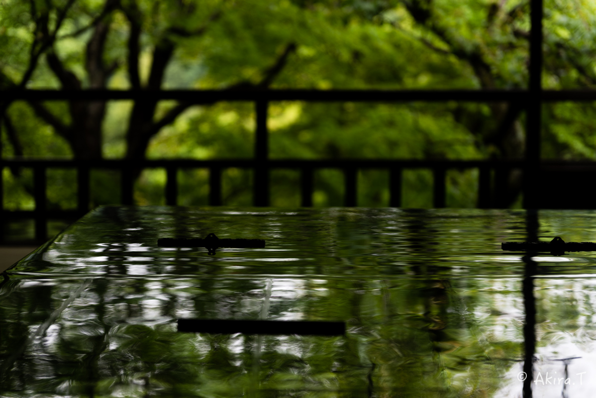 京都の新緑 2016 〜瑠璃光院 1 〜_f0152550_18592789.jpg