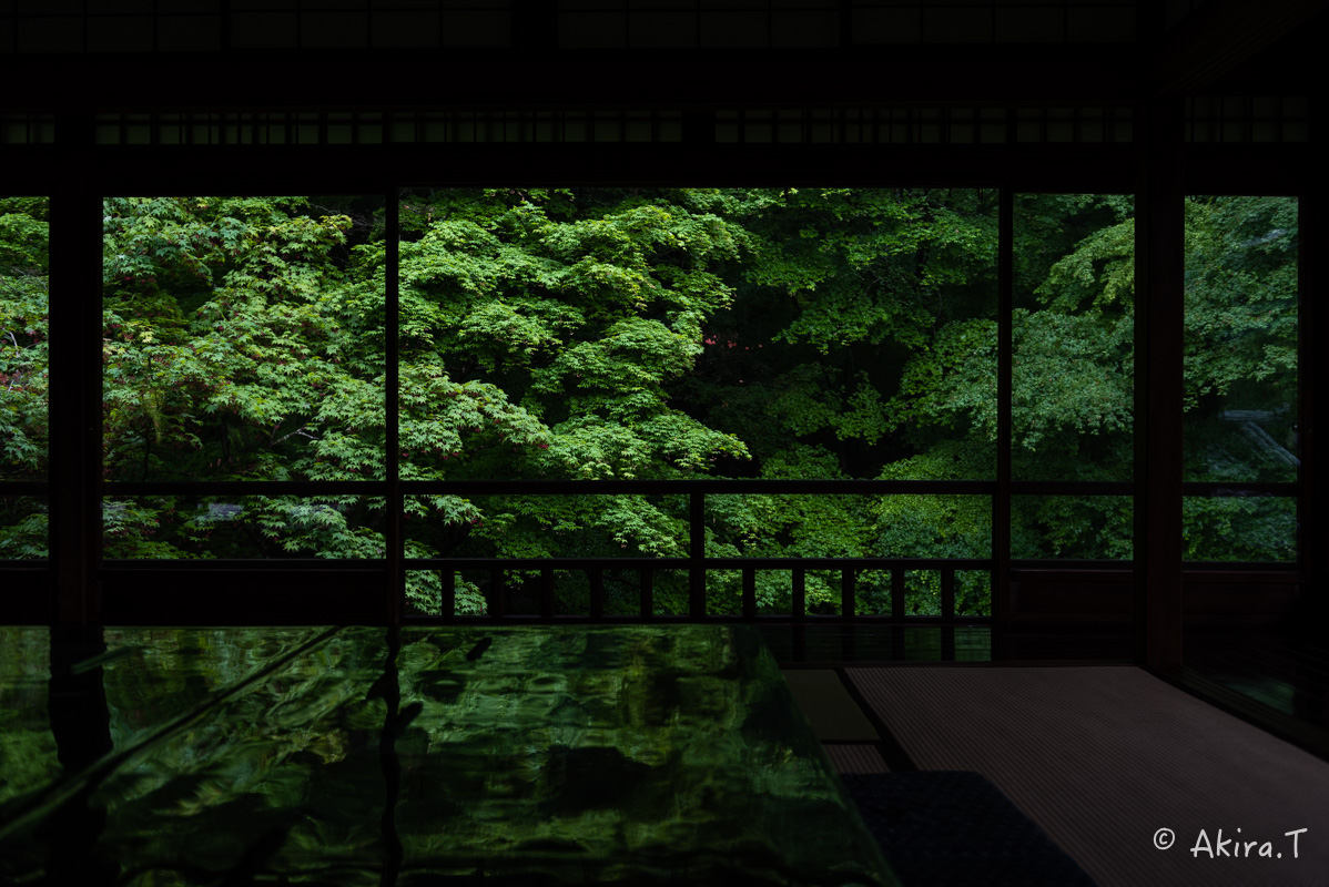 京都の新緑 2016 〜瑠璃光院 1 〜_f0152550_1914848.jpg