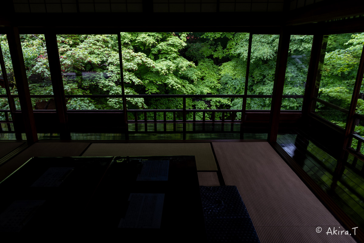 京都の新緑 2016 〜瑠璃光院 1 〜_f0152550_191893.jpg