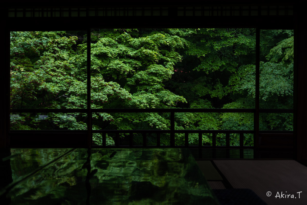 京都の新緑 2016 〜瑠璃光院 1 〜_f0152550_192191.jpg