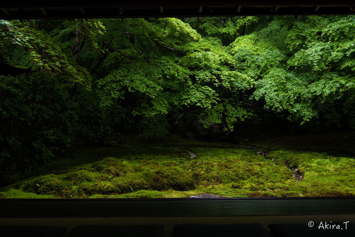 京都の新緑 2016　〜瑠璃光院 2 〜_f0152550_2142442.jpg