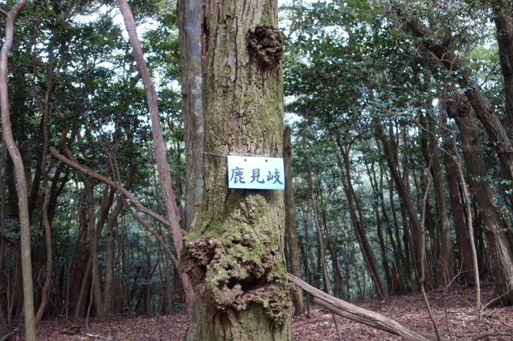 西山・犬鳴山縦走_d0345153_11424671.jpg