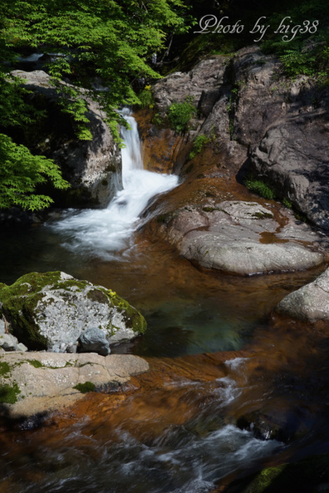 新緑の氷ノ山_b0122257_22183263.jpg