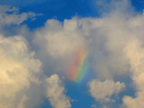 b0160957_12571.jpg