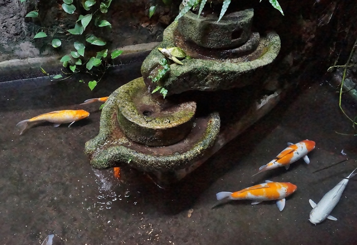 猫まみれ台湾旅行 その15 九份 ④九份茶房_b0063958_1595543.jpg