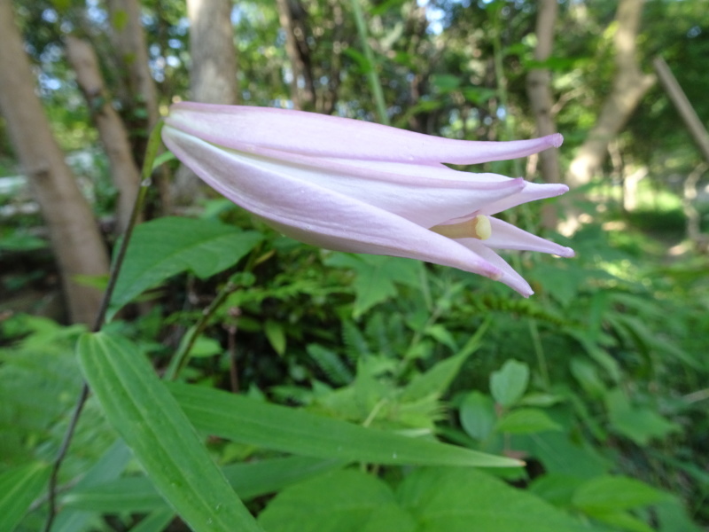 c0108460_02474094.jpg