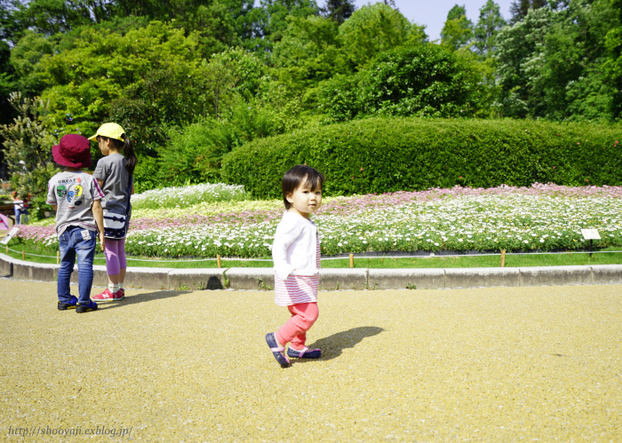 a0333661_21294259.jpg