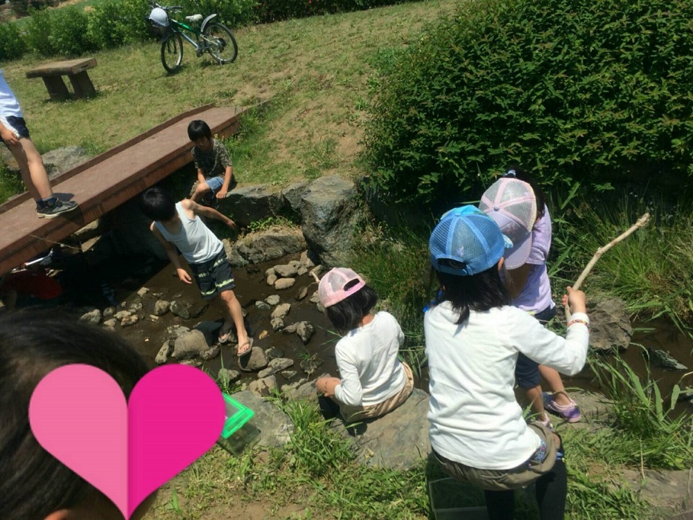 2016初夏のあおぞら学校_a0290864_22163838.jpg