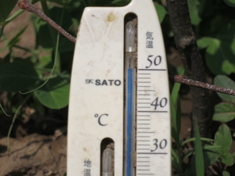 c0229165_23261161.jpg