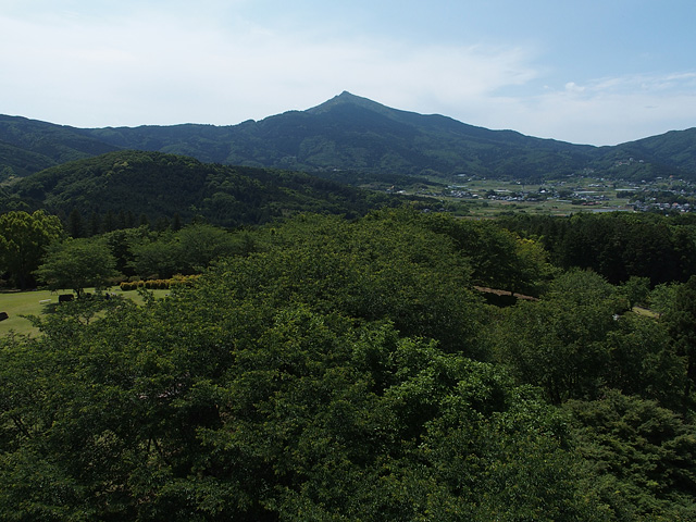 茨城県フラワーパーク バラまつり （2016/5/21）_b0006870_6584948.jpg