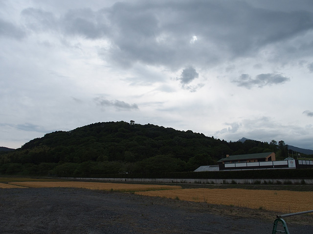 茨城県フラワーパーク バラまつり (2016/5/21)_b0006870_7168.jpg