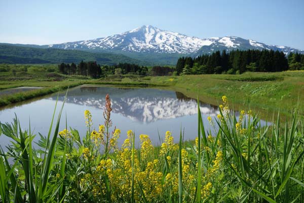 魅惑の鳥海山麓_e0068873_2129861.jpg