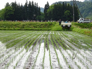 田植終える_d0122374_2336882.jpg