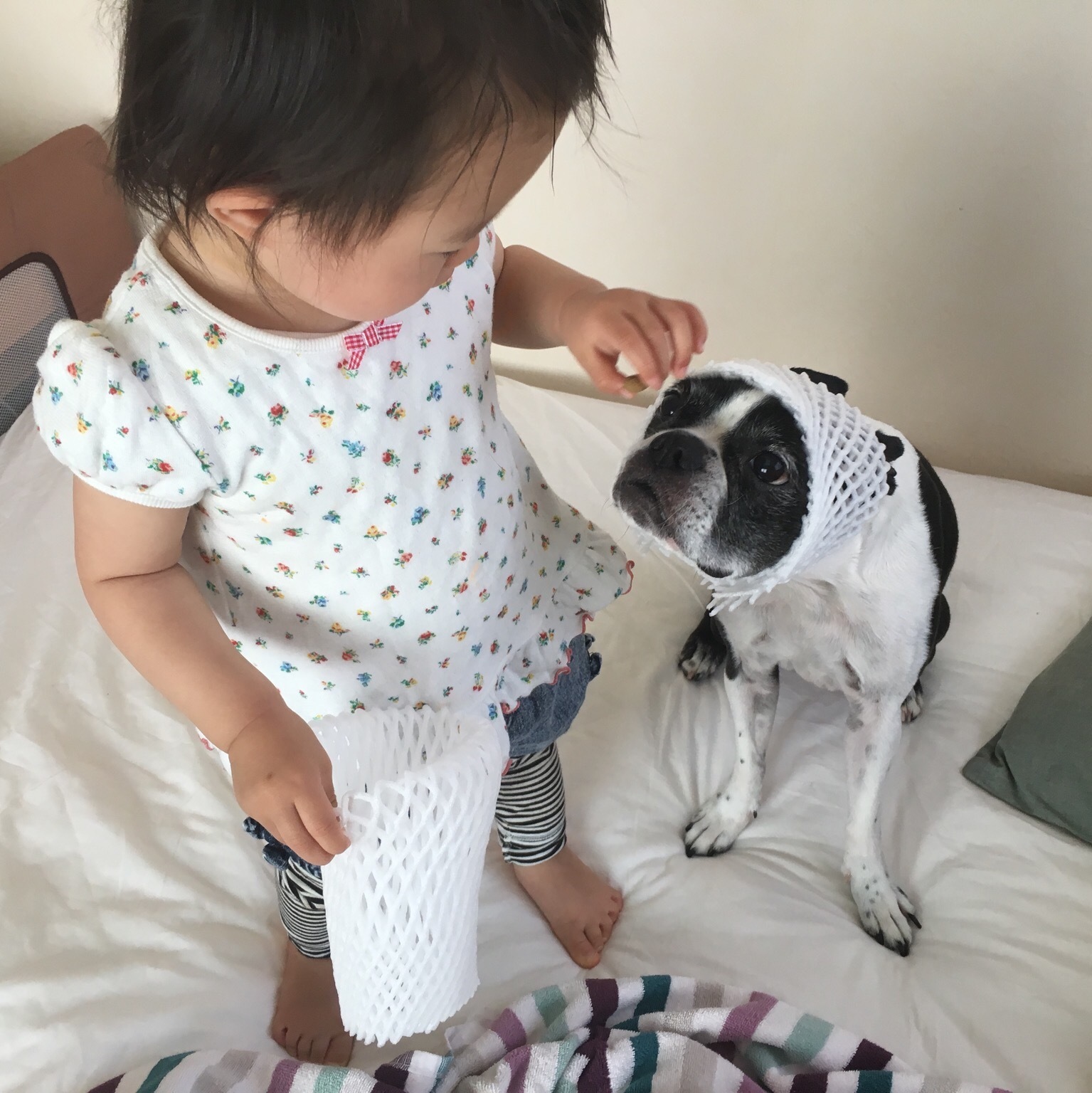 d0041575_23201096.jpeg