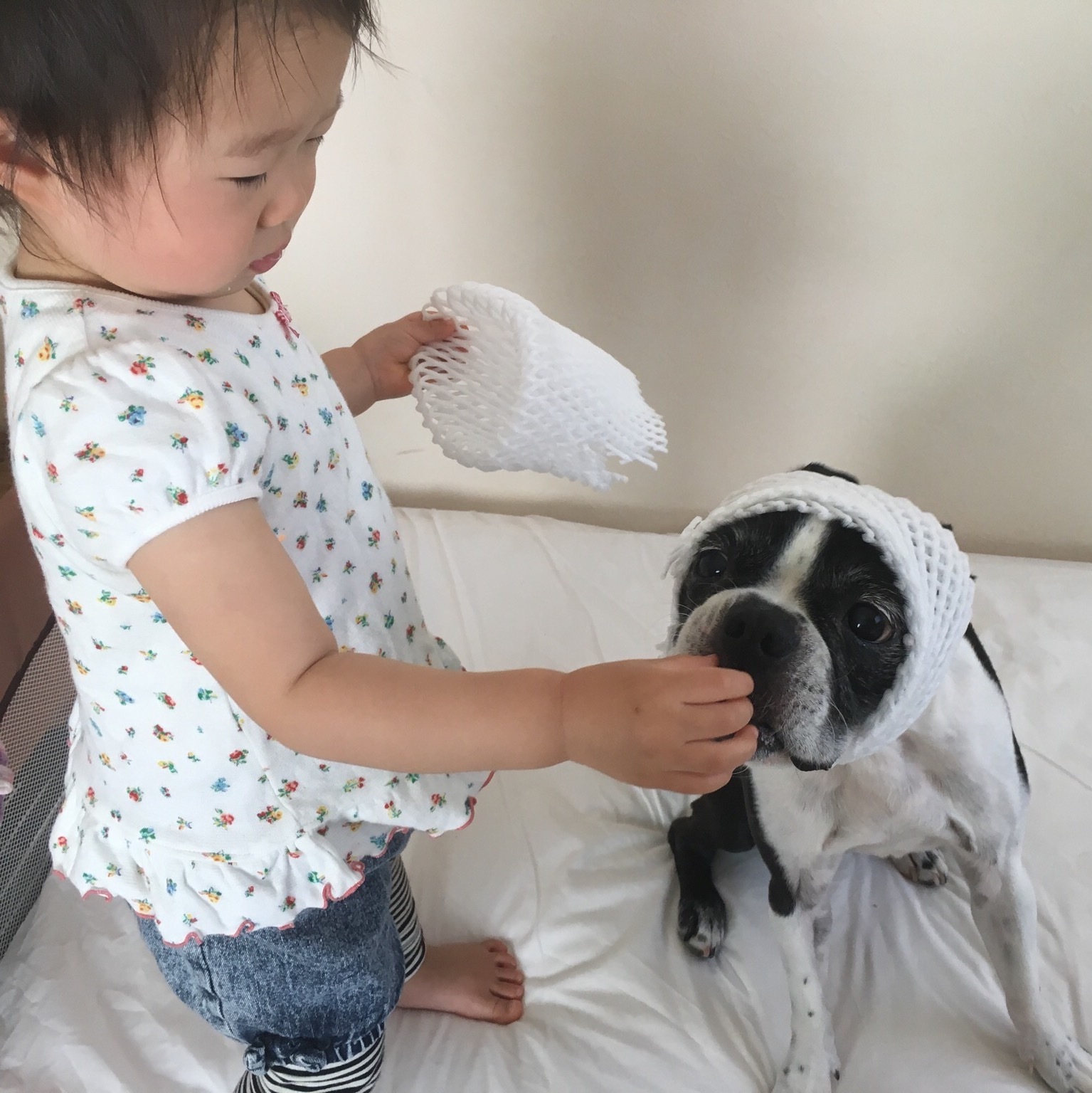 d0041575_23202981.jpeg
