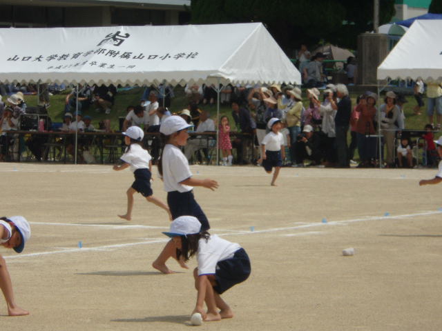 c0228378_1058284.jpg