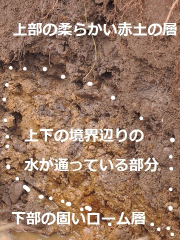 原村S本さん邸の現場より 2_a0211886_21190876.jpg