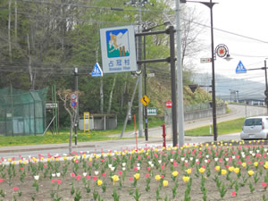 e0148889_820036.jpg