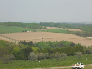 e0148889_8313887.jpg