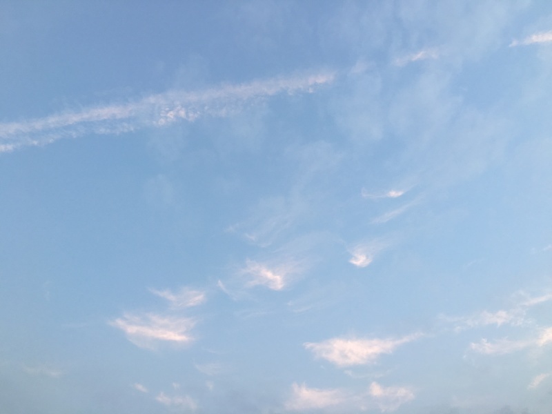 a0159690_19072560.jpeg