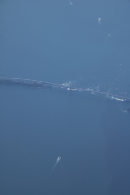 d0181492_17282366.jpg
