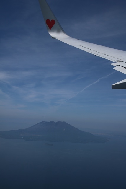 d0181492_17391948.jpg