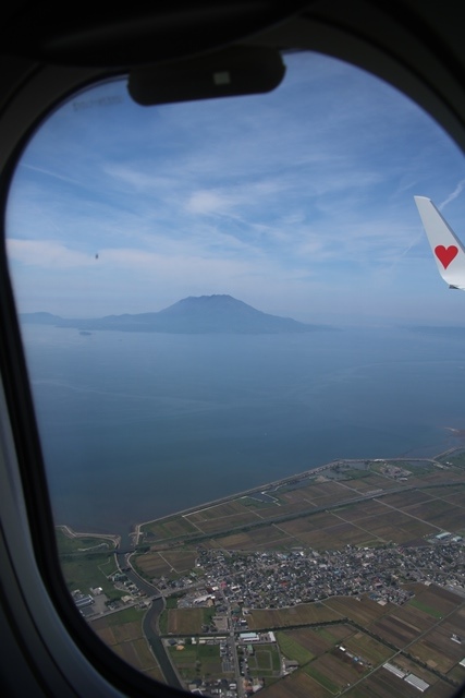 d0181492_1743399.jpg