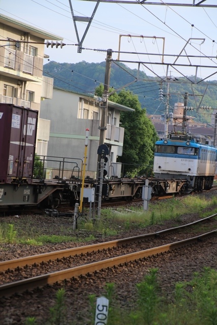 藤田八束の鉄道写真集＠鹿児島本線鹿児島中央駅踏切・・・早朝の貨物列車_d0181492_18484744.jpg