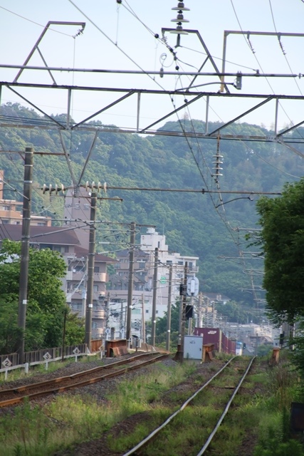 藤田八束の鉄道写真集＠鹿児島本線鹿児島中央駅踏切・・・早朝の貨物列車_d0181492_18522757.jpg