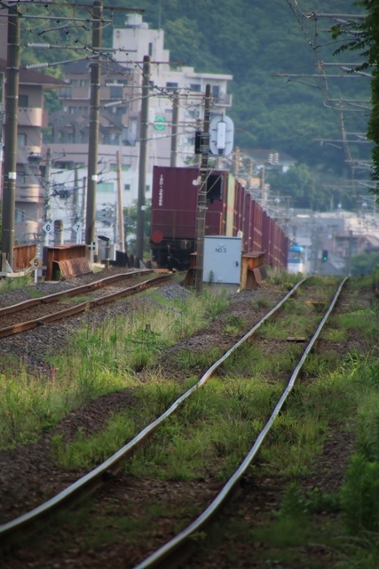 藤田八束の鉄道写真集＠鹿児島本線鹿児島中央駅踏切・・・早朝の貨物列車_d0181492_1852937.jpg