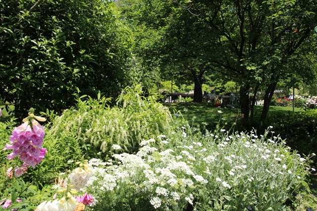 d0181492_21304771.jpg