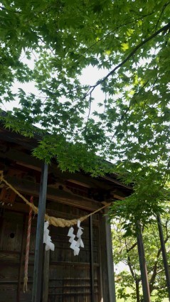村社月山神社へ参拝_f0168392_20283838.jpg