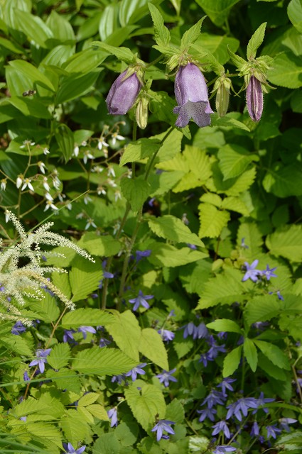 c0124100_1651672.jpg