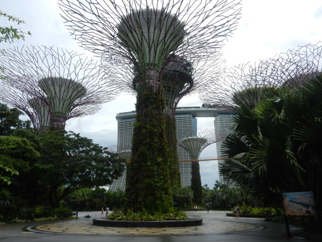 d0135801_23432857.jpg