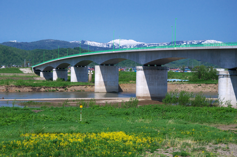 滝川市菜の花　江竜橋近辺　　2016.5.22_f0200402_2228725.jpg