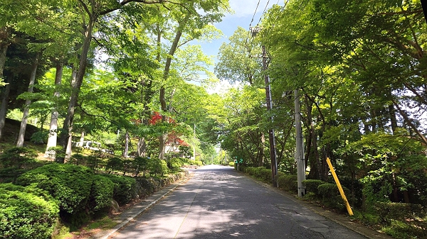 避暑にお薦め！「ヴェルデの森箱根山ヴィラ」のご紹介_a0071805_169664.jpg