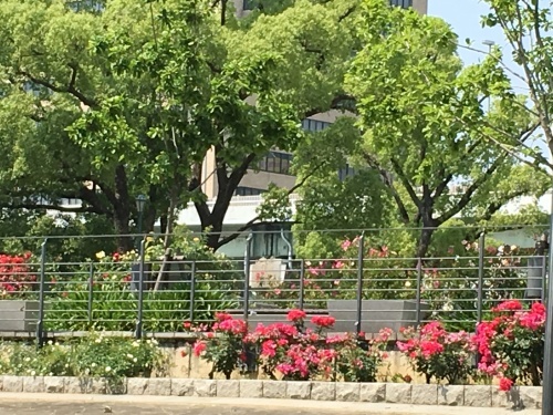 a0100706_07514586.jpeg